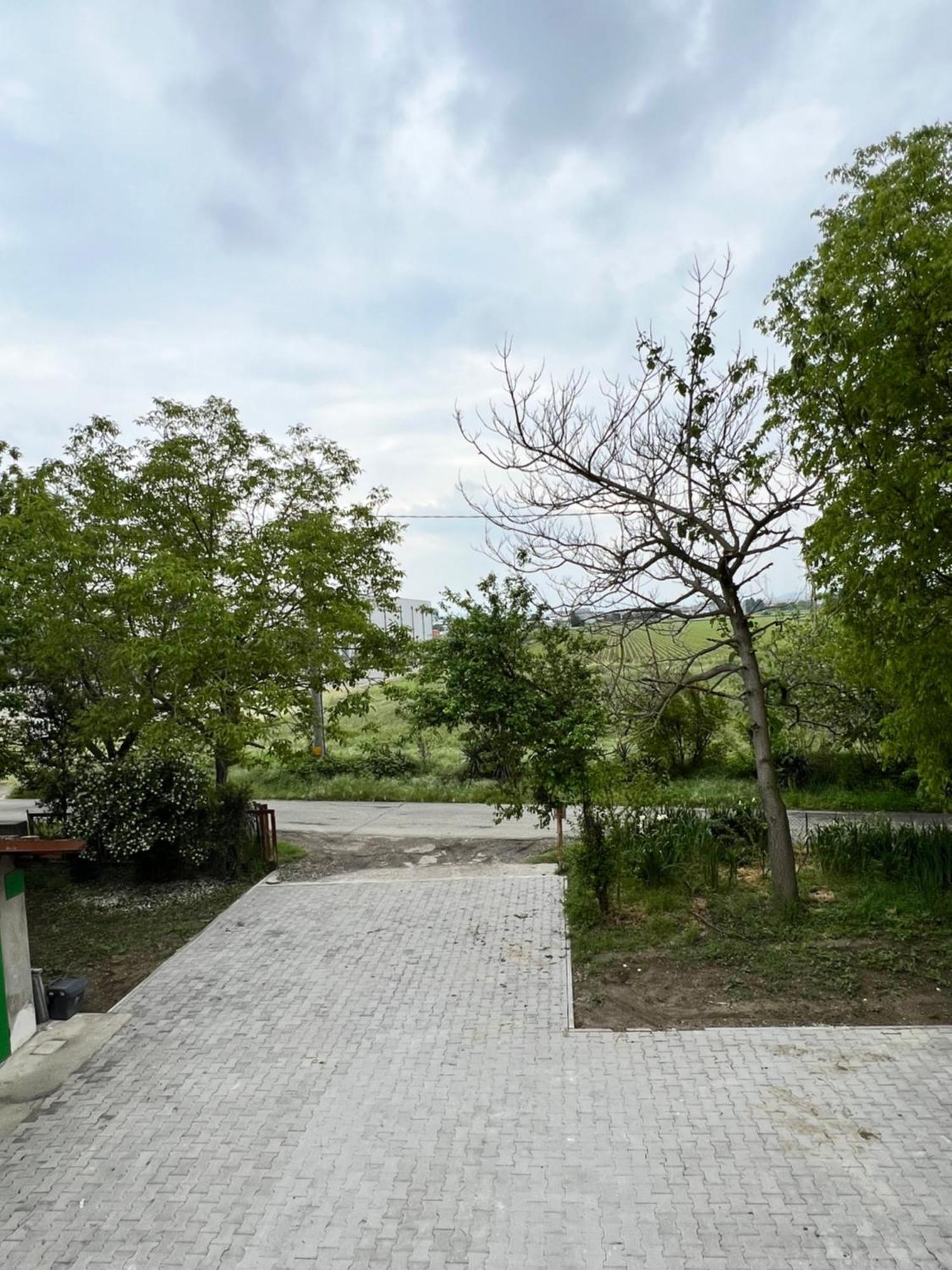 Guesthouse La Casa Di Giada Имола Екстериор снимка